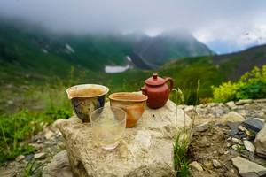 Грузинский чай - свежий урожай, чай из Грузии, фабрика мойчай.ру, настоящий грузинский чай ручной работы, купить Грузинский чай в Ростове с доставкой по всей России, Грузия, Хун Ча, габа чай, 