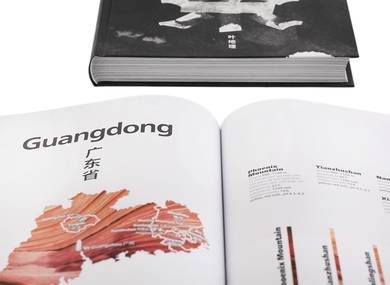 Geography of Chinese tea Sergey Shevelev 512 pages
